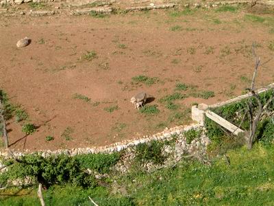 Serra095.JPG